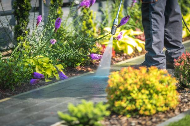 Why Choose Our Pressure Washing Services in Michigan