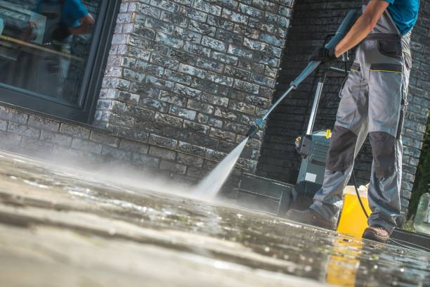 Best Boat and Dock Cleaning  in Reed City, MI