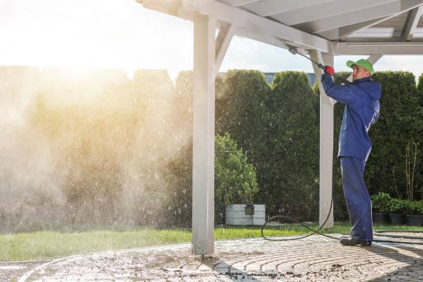 Pre-Holiday Cleaning in Reed City, MI