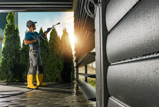 Best House Exterior Washing  in Reed City, MI
