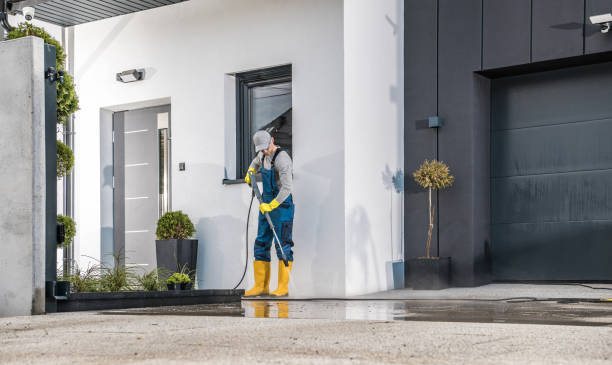 Best Patio and Deck Pressure Washing  in Reed City, MI