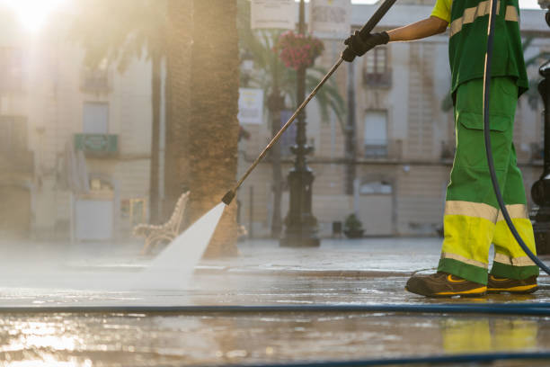 Best Sidewalk and Walkway Cleaning  in Reed City, MI